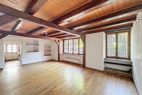 mont-sur-lausanne_0009