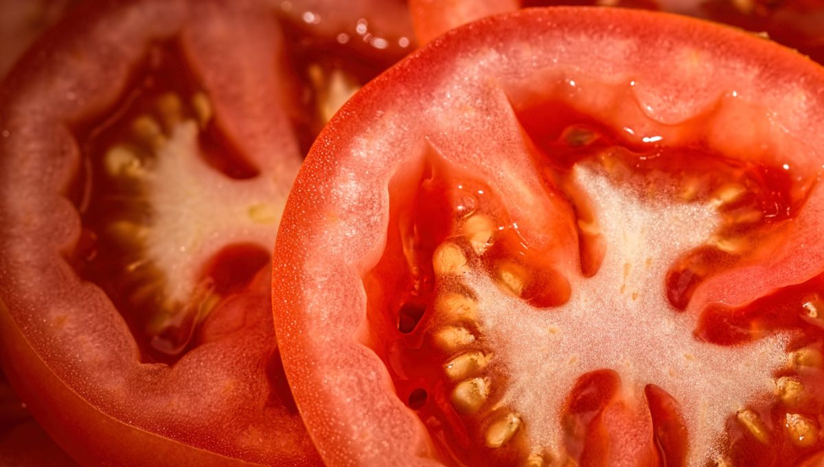 tomato-red-salad-food